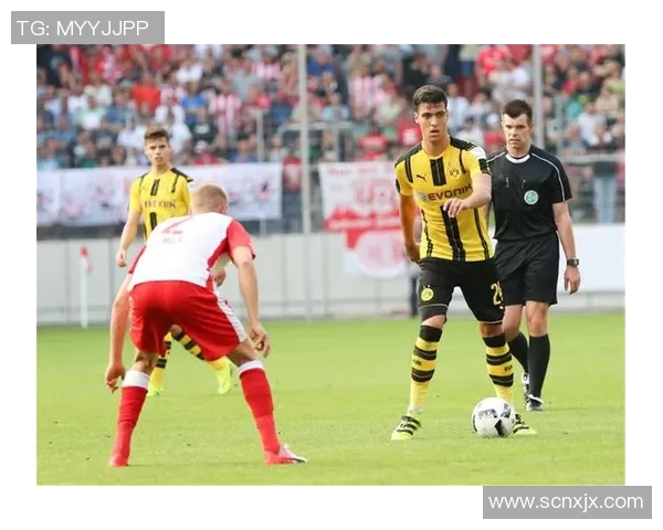 内卡萨与老虎大学激战正酣谁将赢得这场精彩对决的胜利